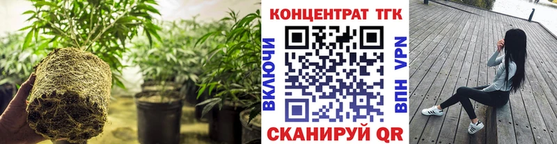 Дистиллят ТГК Wax  дарнет шоп  Касли 
