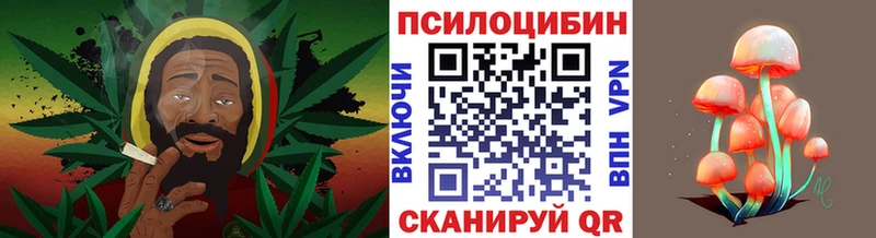 blacksprut ONION Касли Галлюциногенные грибы мицелий